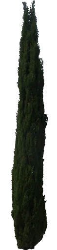 épitaphe